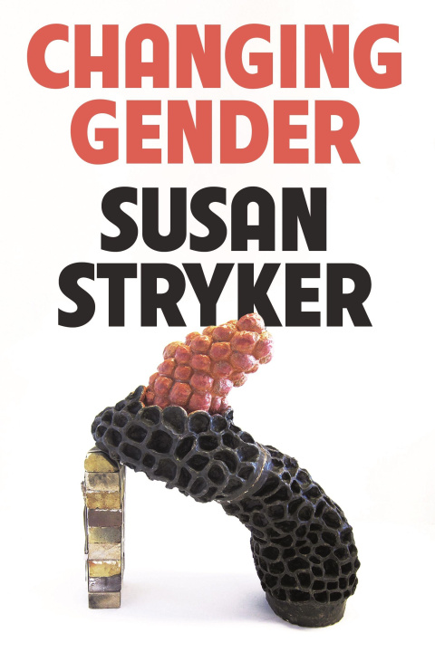 Kniha Changing Gender STRYKER SUSAN