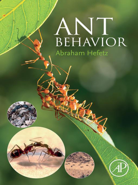 E-kniha Ant Behavior Abraham Hefetz