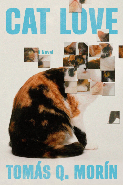 Carte Cat Love MORIN TOMAS Q