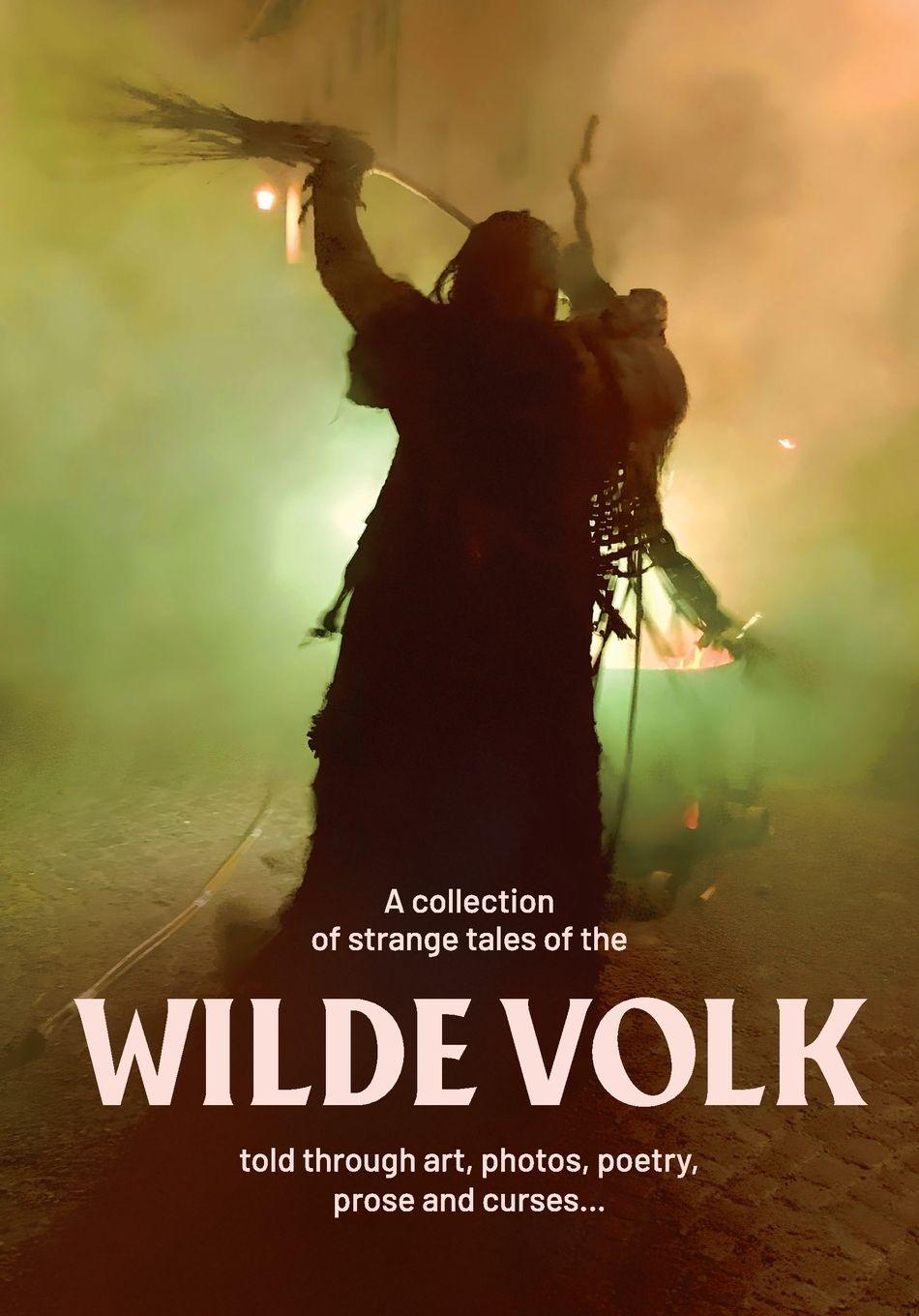 Kniha Wilde Volk Melita Dennett
