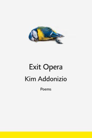 Kniha Exit Opera Kim Addonizio