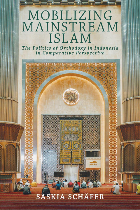 Kniha Mobilizing Mainstream Islam Saskia Schafer