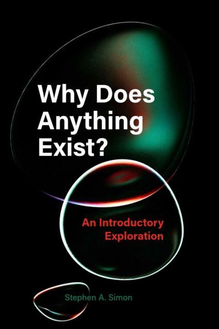 Kniha Why Does Anything Exist? Stephen A. Simon