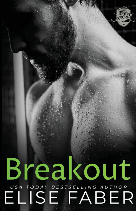 Kniha Breakout Elise Faber