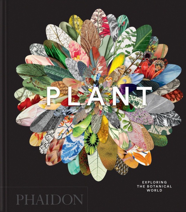 Kniha Plant EDITORS PHAIDON