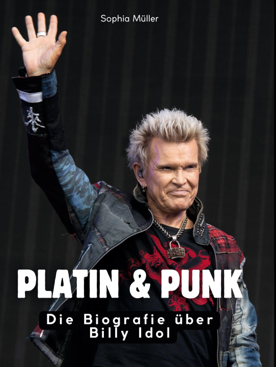 Knjiga Platin & Punk 