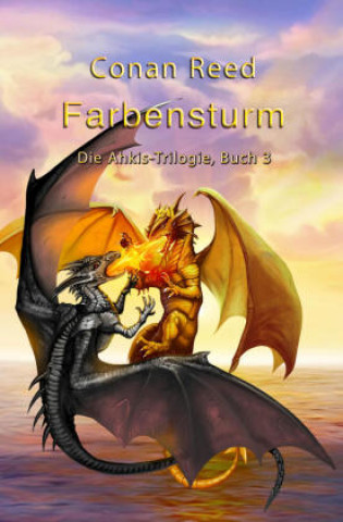 Book Farbensturm Conan Reed