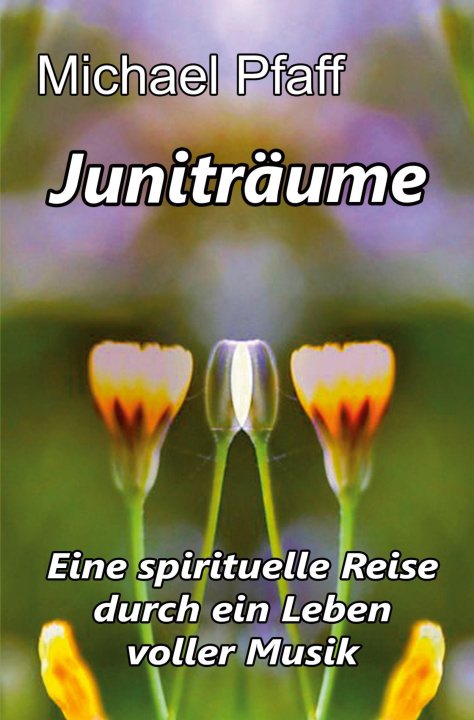 Kniha Juniträume Michael Pfaff