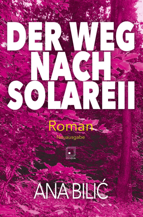 Kniha Der Weg nach Solareii 