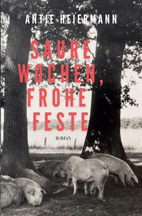 Boek Saure Wochen, frohe Feste 