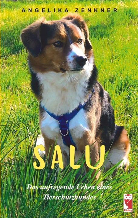 Kniha SALU 