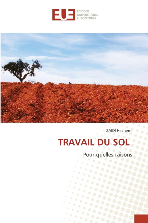 Kniha TRAVAIL DU SOL ZAIDI Hachemi