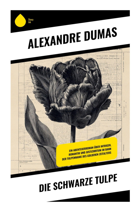 Kniha Die schwarze Tulpe Alexander Dumas