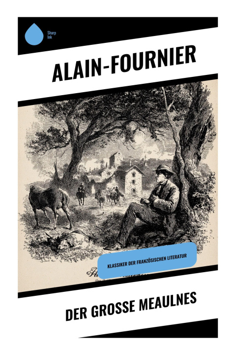 Book Der große Meaulnes Alain-Fournier