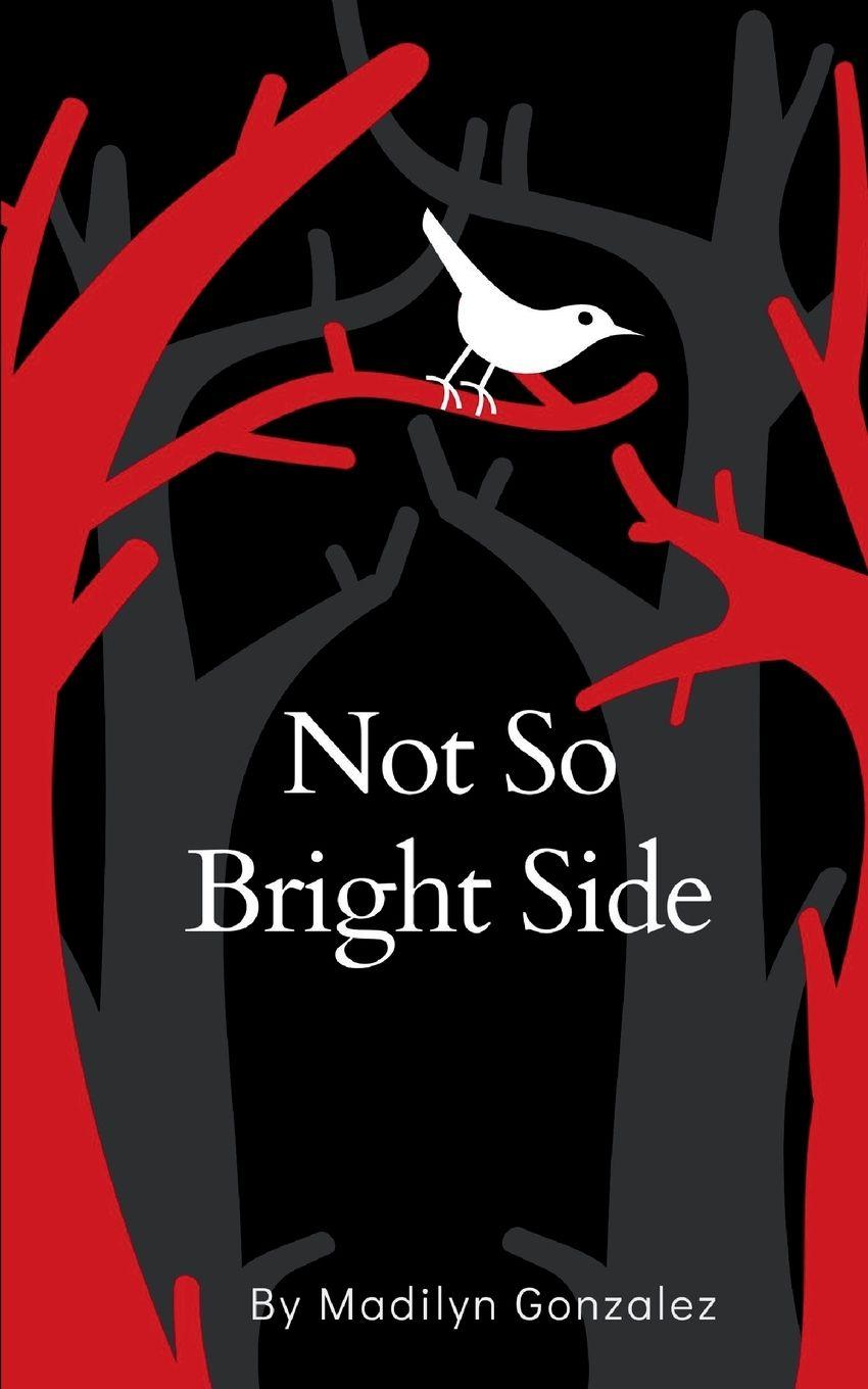 Kniha Not So Bright Side Madilyn Gonzalez