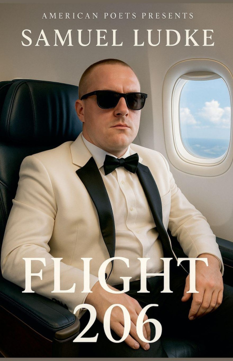 Kniha Flight 206 Samuel Ludke