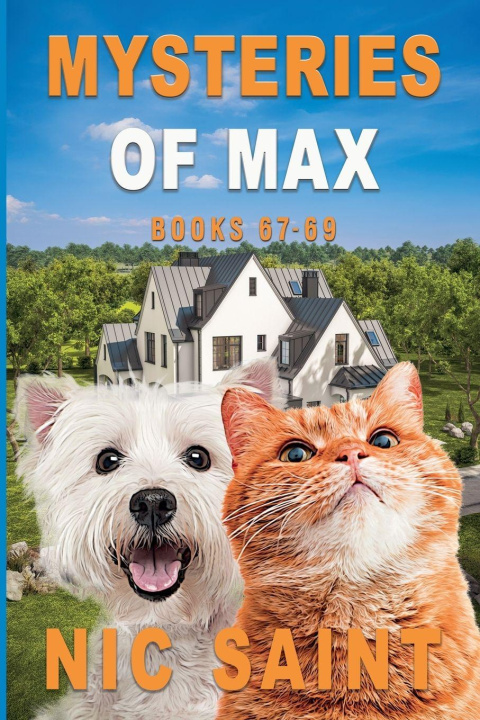 Kniha Mysteries of Max 