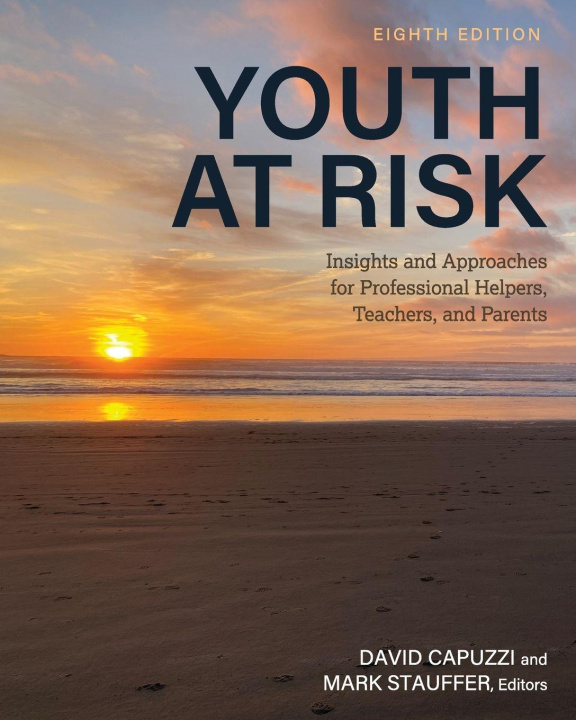 Kniha Youth at Risk Mark Stauffer