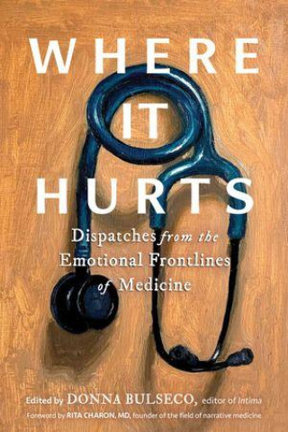 Kniha Where It Hurts Donna Bulseco