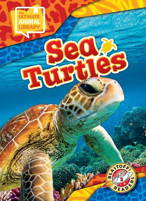 Kniha Sea Turtles 