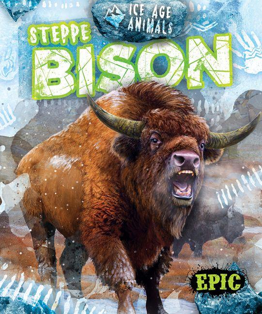 Buch Steppe Bison Mat Edwards