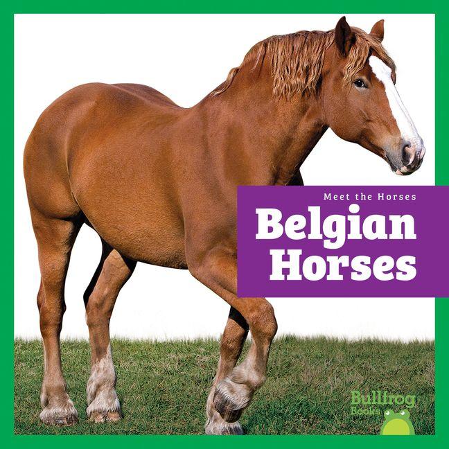 Libro Belgian Horses N/A