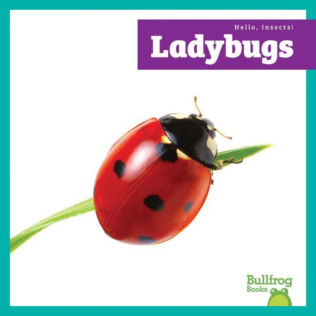Knjiga Ladybugs N/A
