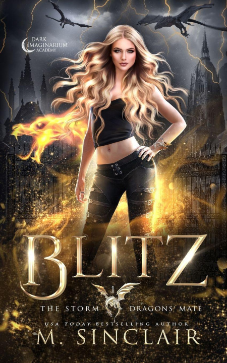 Kniha Blitz 
