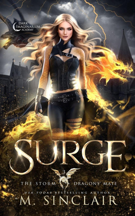 Kniha Surge 