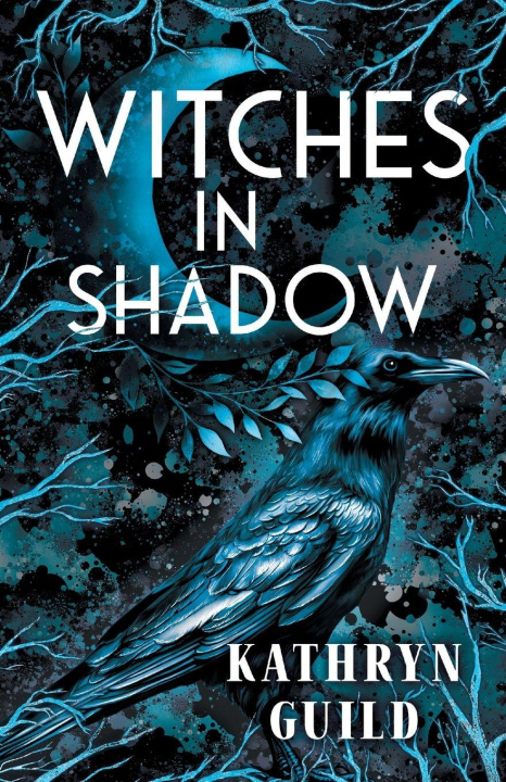 Kniha Witches in Shadow Hannah Vanvels Ausbury