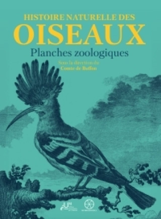 Knjiga Histoire naturelle des oiseaux : planches zoologiques Buffon