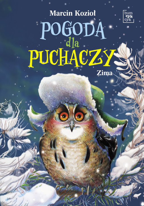 Boek Pogoda dla puchaczy. Zima Marcin Kozioł
