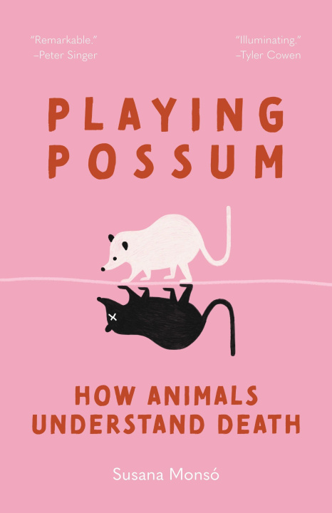 Buch Playing Possum MONSO SUSANA