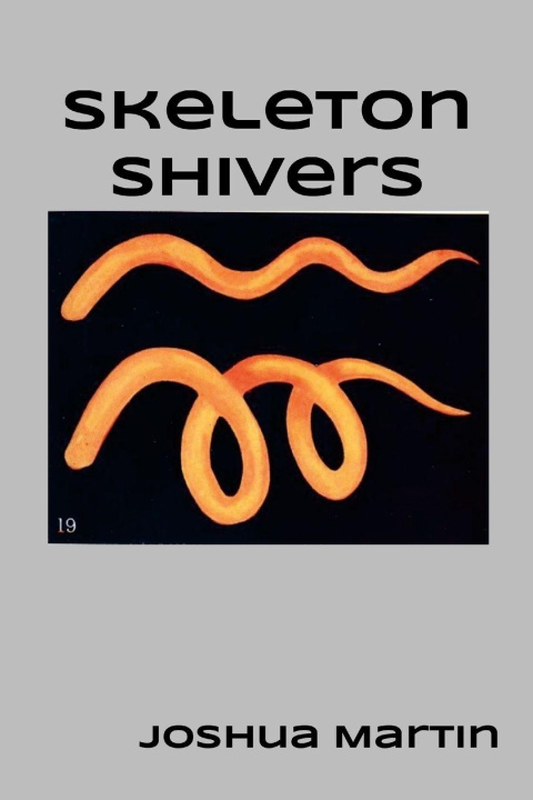 Kniha skeleton shivers Joshua Martin