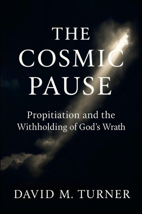 Kniha The Cosmic Pause David Turner