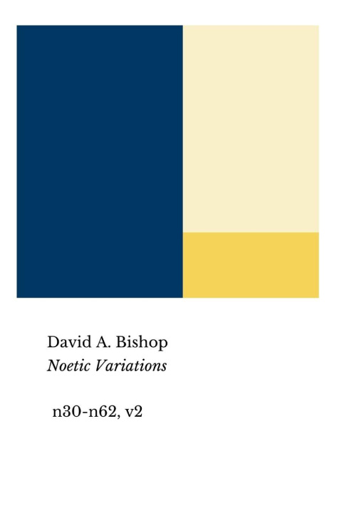 Kniha Noetic Variations, v2 David A. Bishop