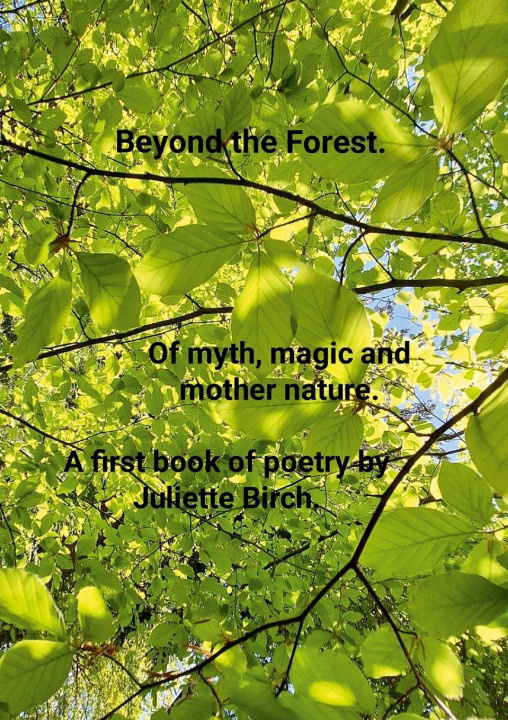 Knjiga Beyond the Forest Juliette Birch