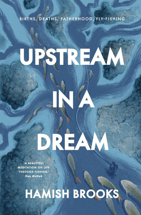 Kniha Upstream in a Dream Hamish Brooks