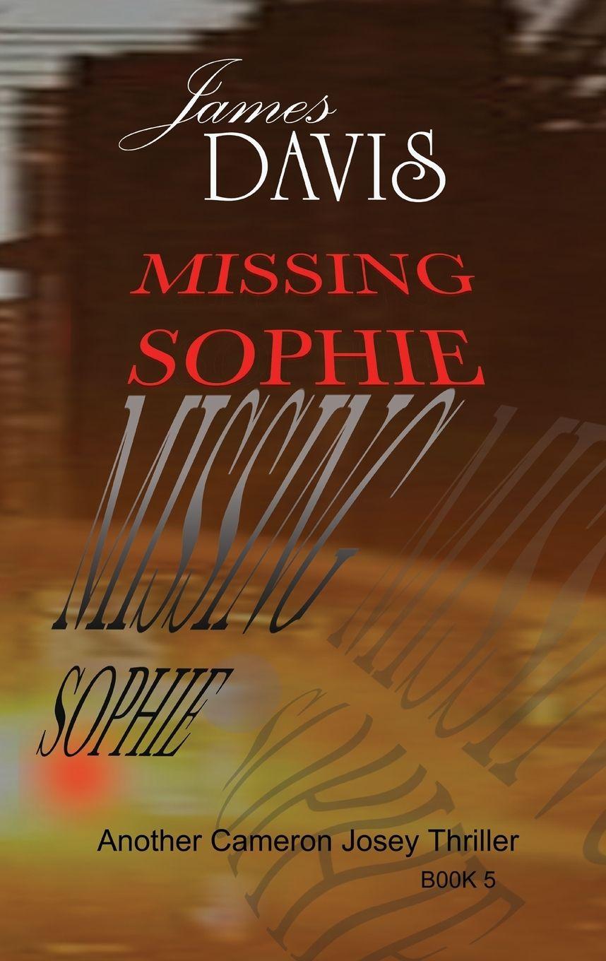 Kniha Missing Sophie 