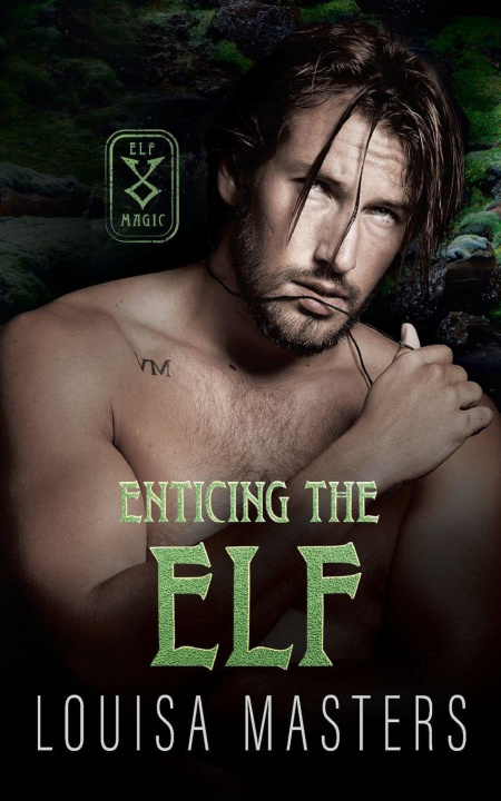 Kniha Enticing the Elf Louisa Masters