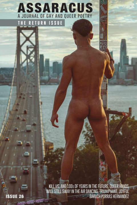 Kniha Assaracus Issue 26 Bryan Borland
