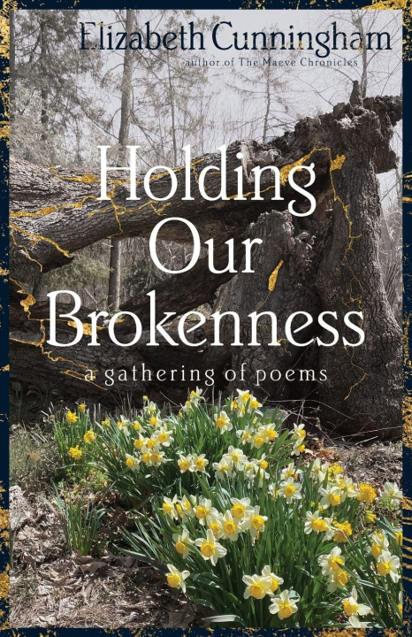 Kniha Holding Our Brokenness Elizabeth Cunningham