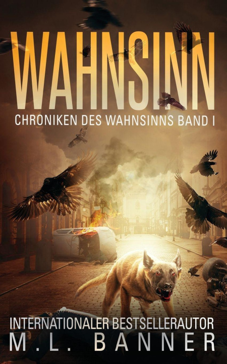 Kniha Wahnsinn 