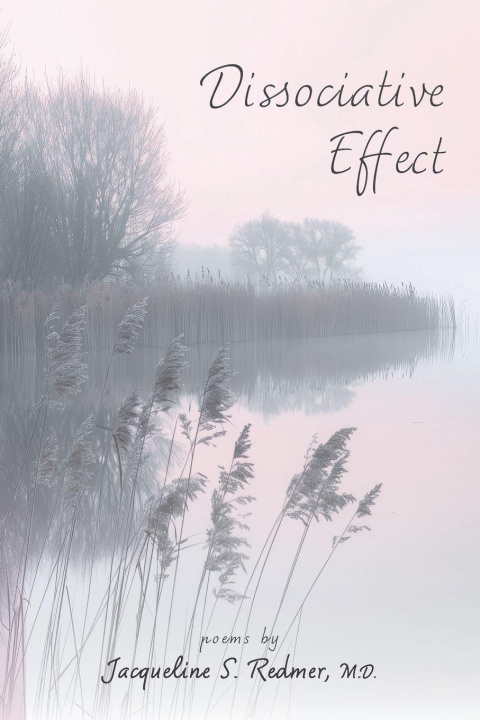 Kniha Dissociative  Effect Jacqueline S. Redmer