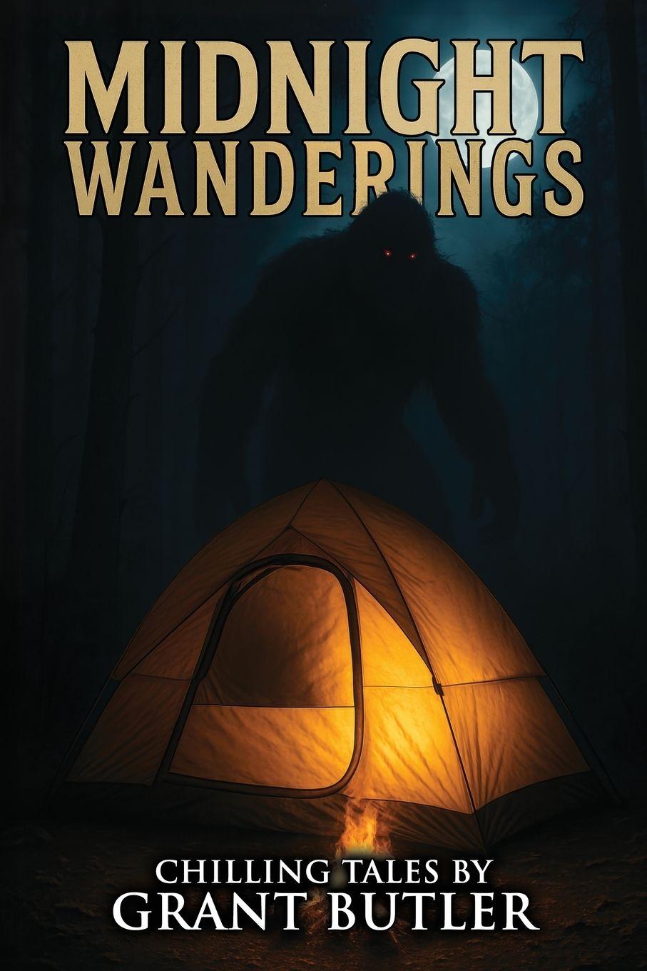 Kniha Midnight Wanderings Velox Books
