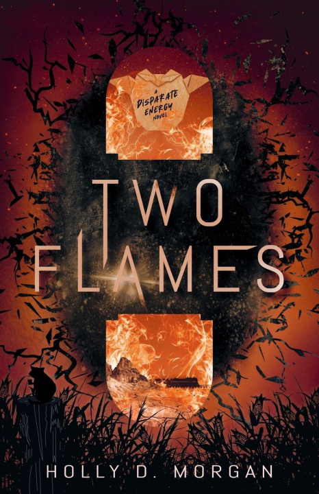 Knjiga Two Flames Holly D. Morgan