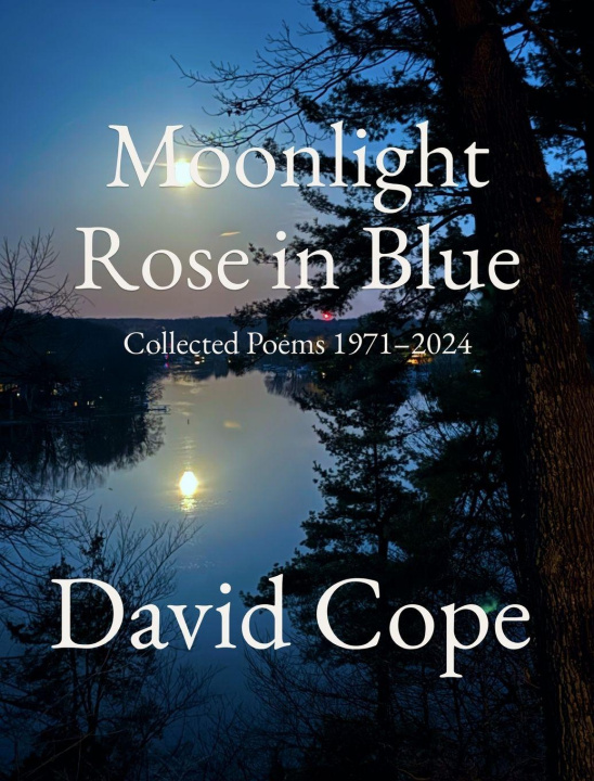 Kniha Moonlight Rose in Blue David Cope