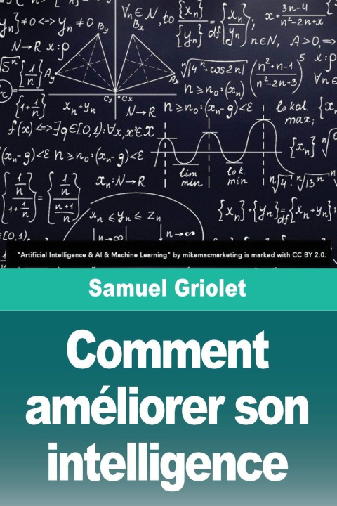 Kniha Comment améliorer son intelligence 