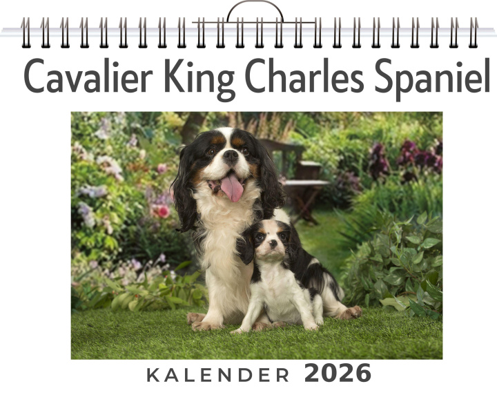 Kalendář/Diář Cavalier King Charles Spaniel 