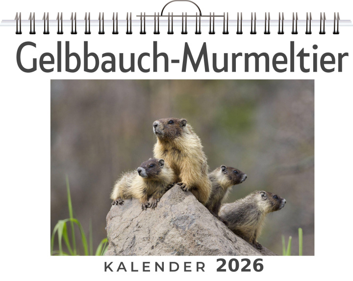 Kalendár/Diár Gelbbauch-Murmeltier 